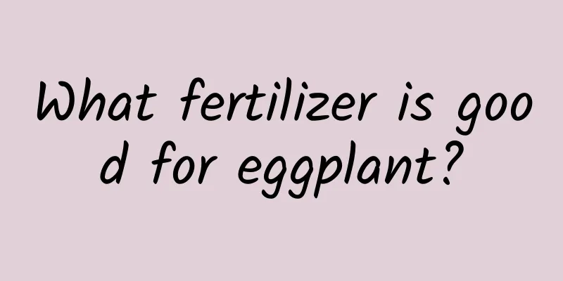 What fertilizer is good for eggplant?