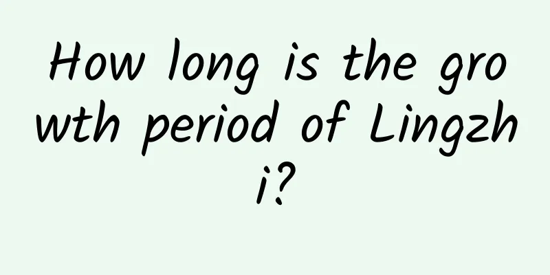 How long is the growth period of Lingzhi?