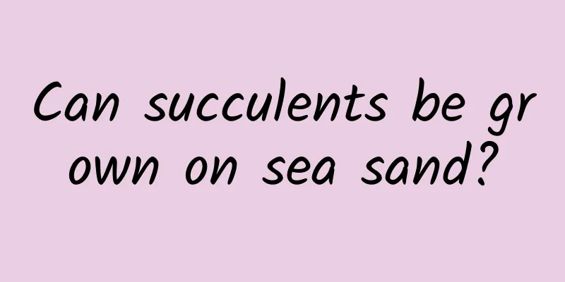 Can succulents be grown on sea sand?