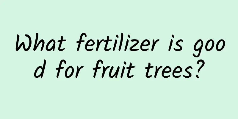 What fertilizer is good for fruit trees?