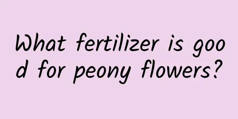 What fertilizer is good for peony flowers?