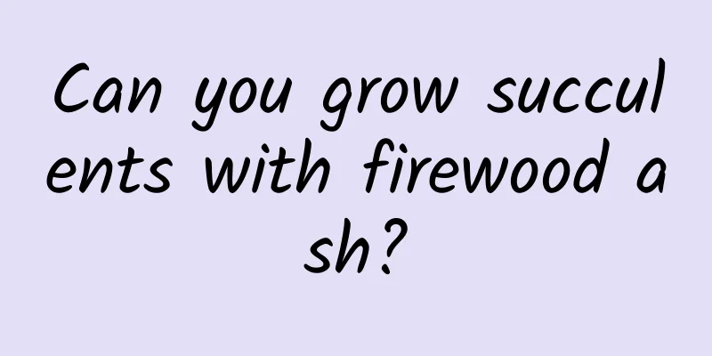 Can you grow succulents with firewood ash?