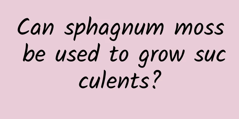 Can sphagnum moss be used to grow succulents?