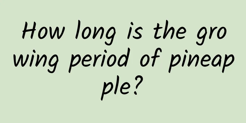How long is the growing period of pineapple?