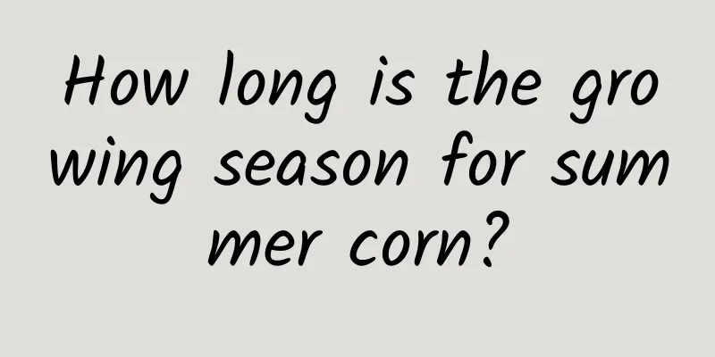How long is the growing season for summer corn?