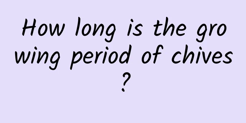 How long is the growing period of chives?