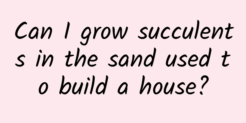 Can I grow succulents in the sand used to build a house?