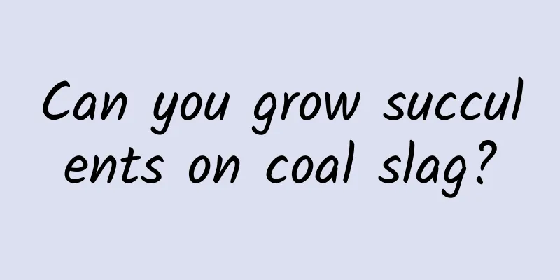 Can you grow succulents on coal slag?