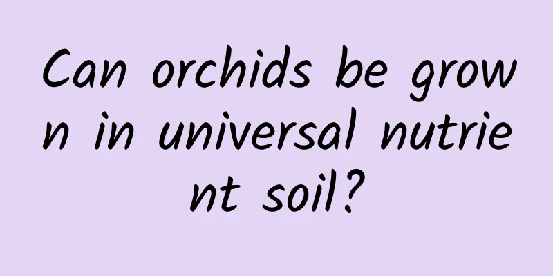 Can orchids be grown in universal nutrient soil?
