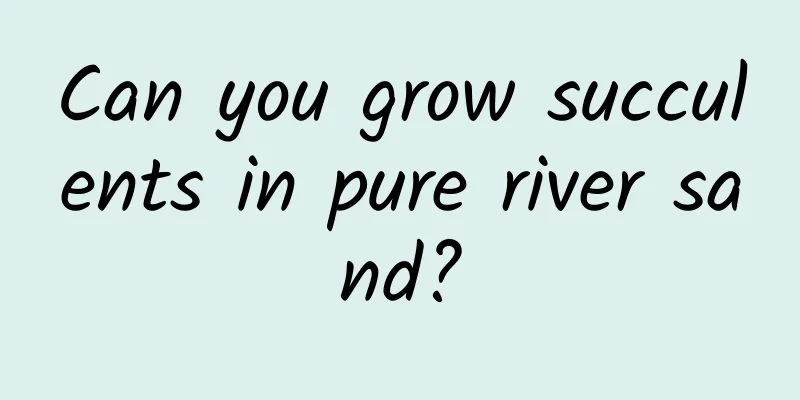 Can you grow succulents in pure river sand?