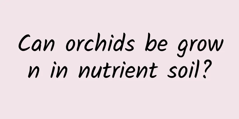 Can orchids be grown in nutrient soil?
