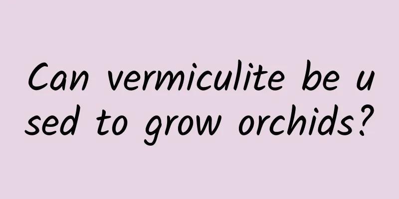 Can vermiculite be used to grow orchids?