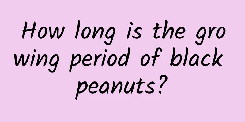 How long is the growing period of black peanuts?