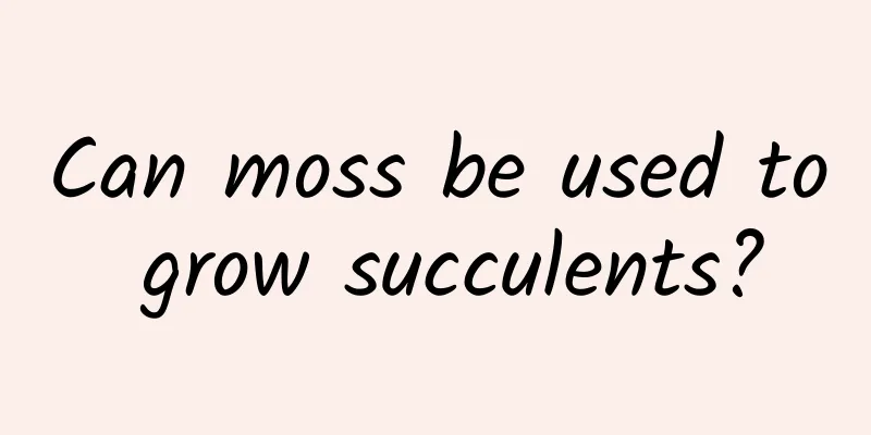 Can moss be used to grow succulents?