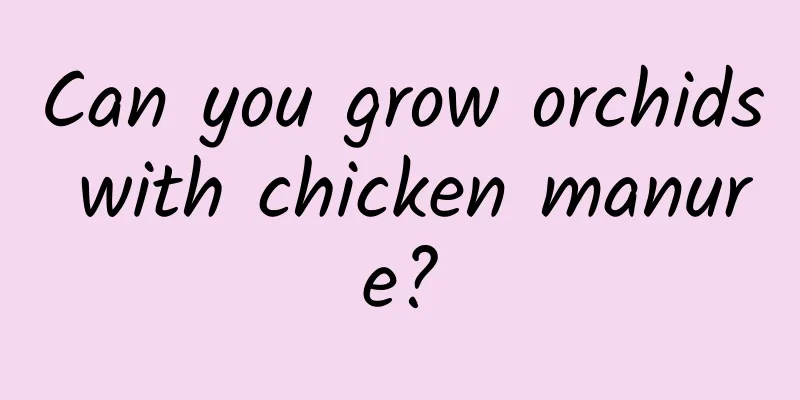 Can you grow orchids with chicken manure?