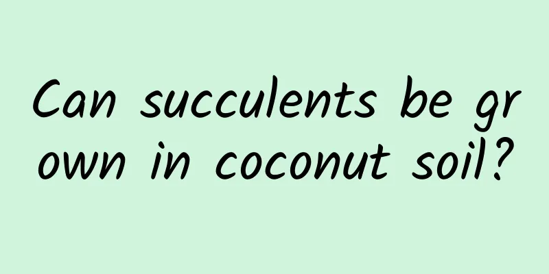 Can succulents be grown in coconut soil?