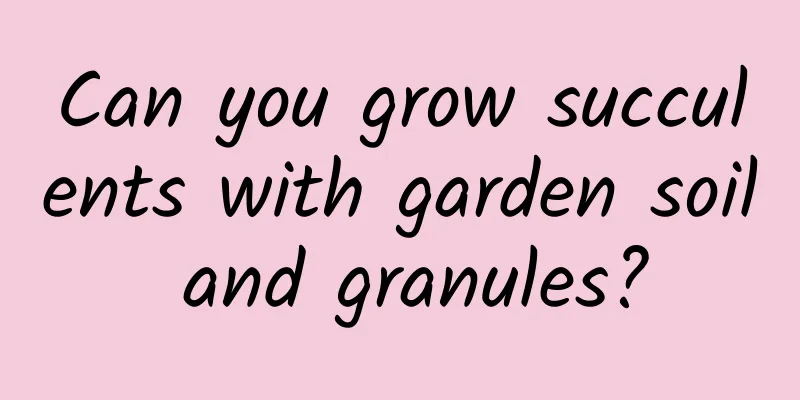 Can you grow succulents with garden soil and granules?