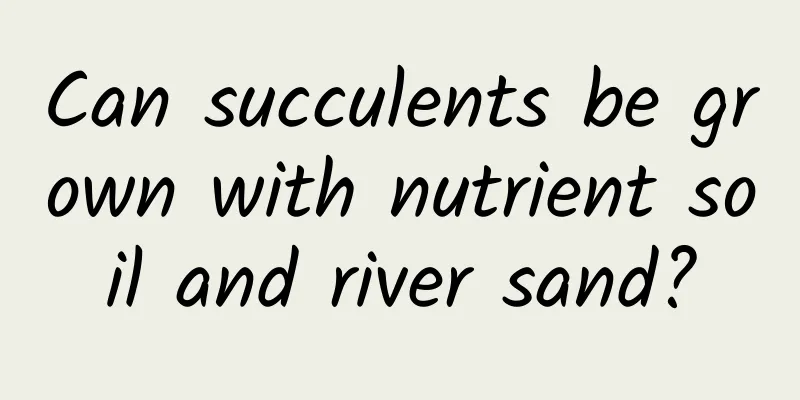 Can succulents be grown with nutrient soil and river sand?