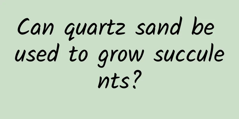 Can quartz sand be used to grow succulents?