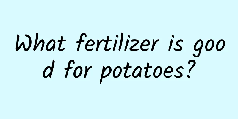 What fertilizer is good for potatoes?
