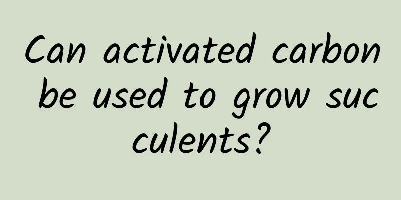 Can activated carbon be used to grow succulents?