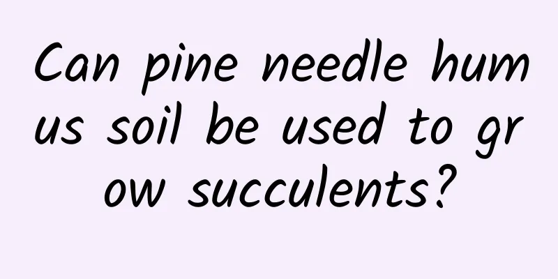 Can pine needle humus soil be used to grow succulents?