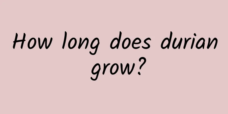 How long does durian grow?