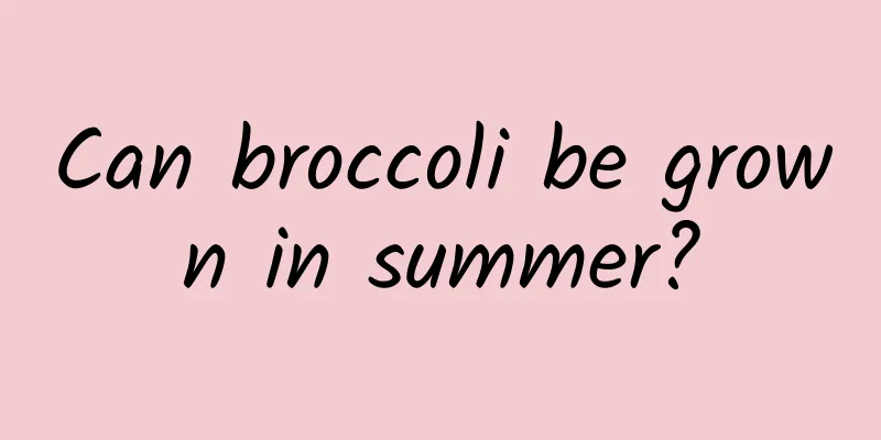 Can broccoli be grown in summer?