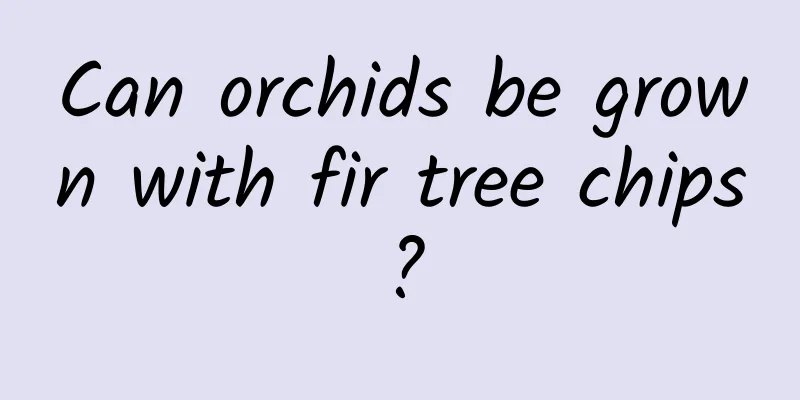 Can orchids be grown with fir tree chips?