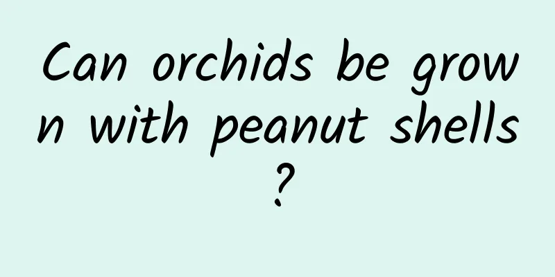 Can orchids be grown with peanut shells?
