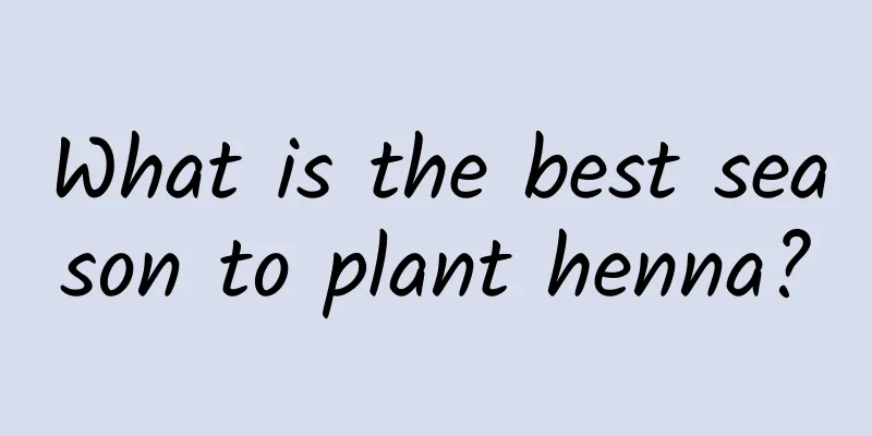 What is the best season to plant henna?