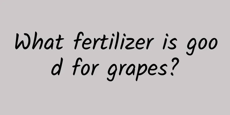 What fertilizer is good for grapes?