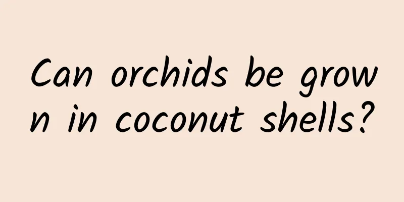 Can orchids be grown in coconut shells?