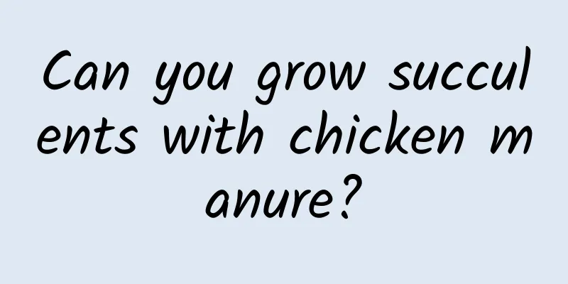 Can you grow succulents with chicken manure?