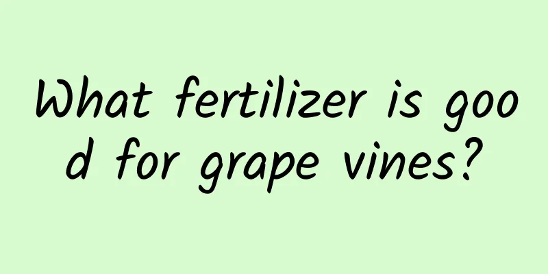 What fertilizer is good for grape vines?
