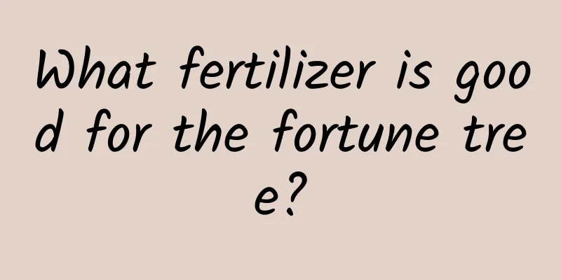 What fertilizer is good for the fortune tree?