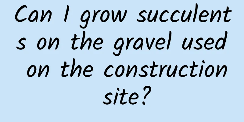 Can I grow succulents on the gravel used on the construction site?