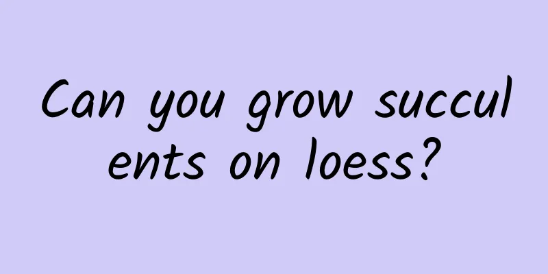 Can you grow succulents on loess?