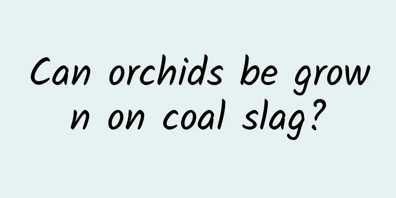 Can orchids be grown on coal slag?