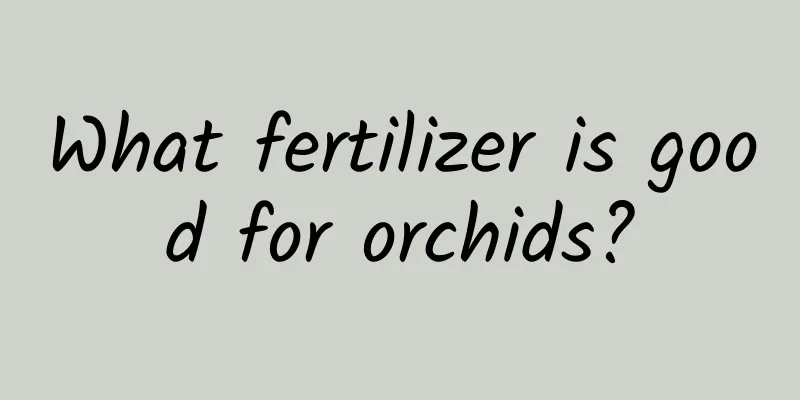 What fertilizer is good for orchids?