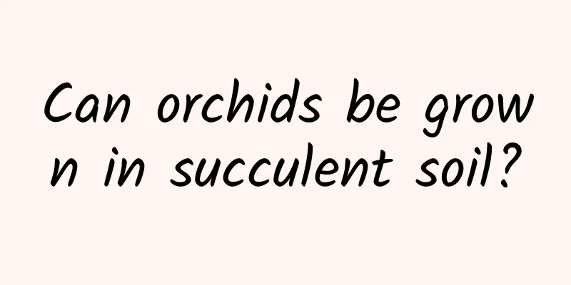 Can orchids be grown in succulent soil?