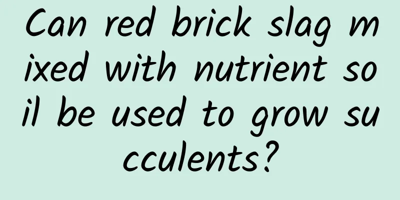Can red brick slag mixed with nutrient soil be used to grow succulents?