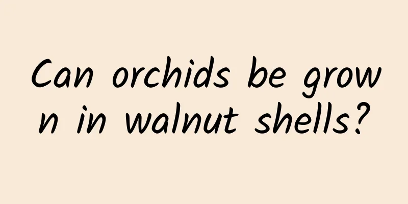 Can orchids be grown in walnut shells?