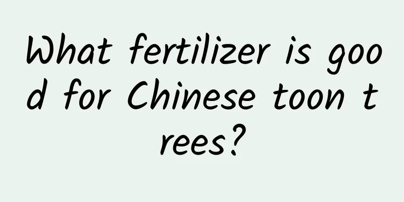 What fertilizer is good for Chinese toon trees?