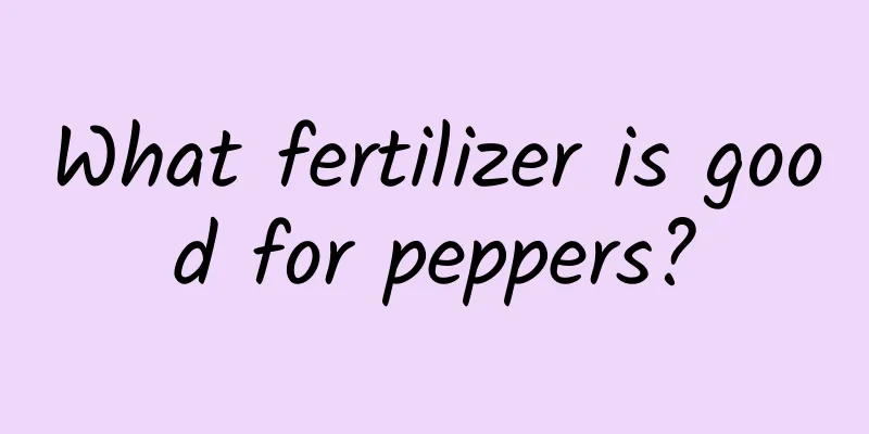 What fertilizer is good for peppers?