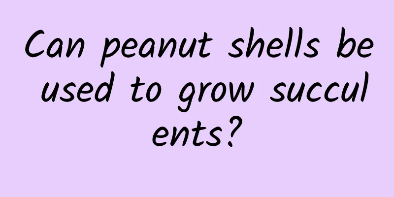 Can peanut shells be used to grow succulents?