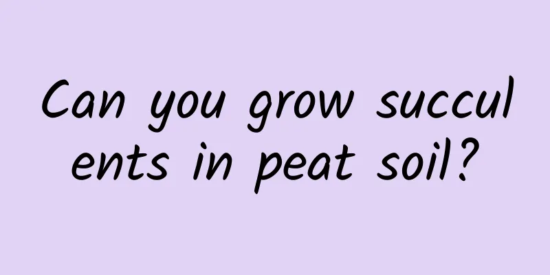 Can you grow succulents in peat soil?