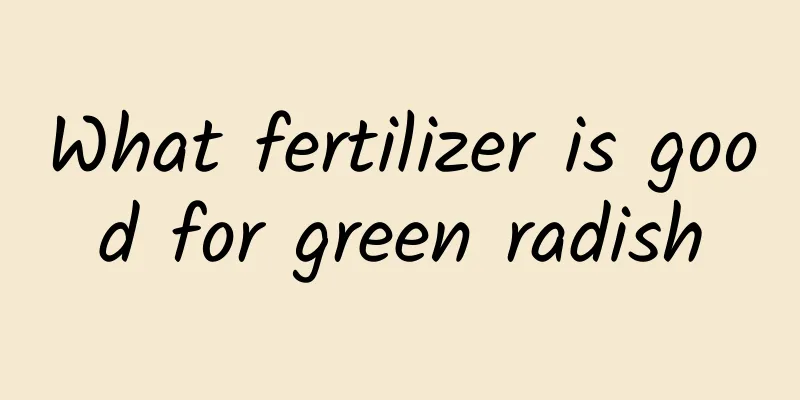 What fertilizer is good for green radish
