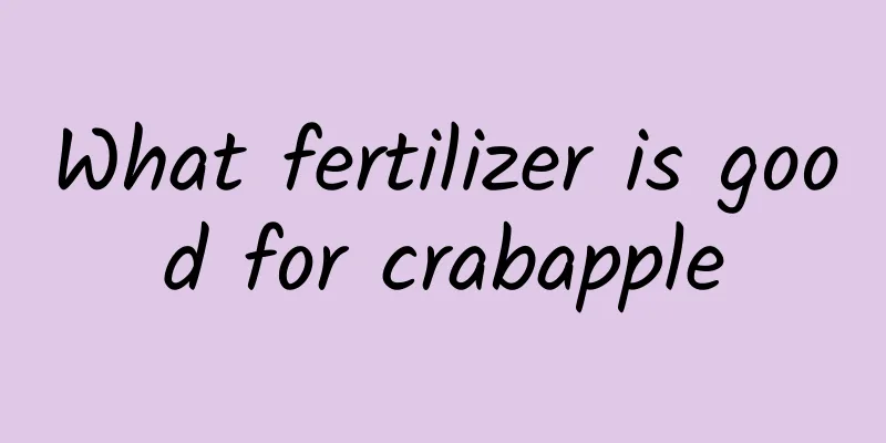 What fertilizer is good for crabapple