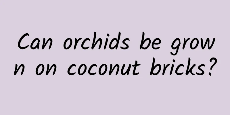 Can orchids be grown on coconut bricks?